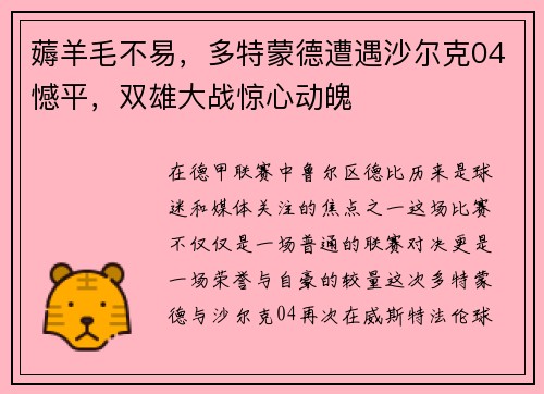 薅羊毛不易，多特蒙德遭遇沙尔克04憾平，双雄大战惊心动魄