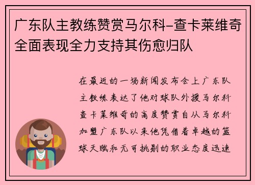 广东队主教练赞赏马尔科-查卡莱维奇全面表现全力支持其伤愈归队