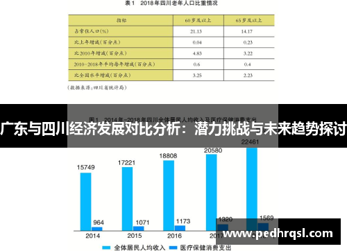 广东与四川经济发展对比分析：潜力挑战与未来趋势探讨