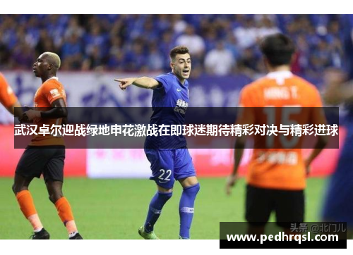 武汉卓尔迎战绿地申花激战在即球迷期待精彩对决与精彩进球