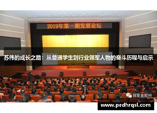 苏伟的成长之路：从普通学生到行业领军人物的奋斗历程与启示
