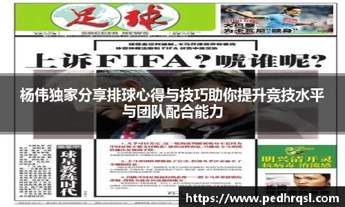 杨伟独家分享排球心得与技巧助你提升竞技水平与团队配合能力