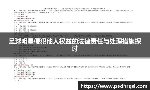 足球明星侵犯他人权益的法律责任与处理措施探讨
